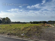Terrain à VAULX-VRAUCOURT