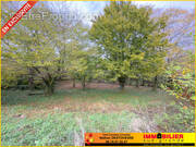 Terrain à CASTRES-GIRONDE