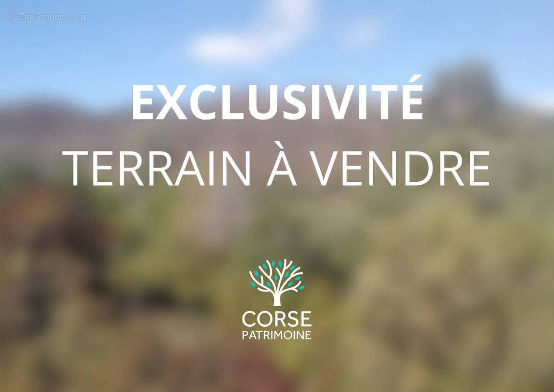 Terrain à BONIFACIO