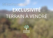 Terrain à BONIFACIO