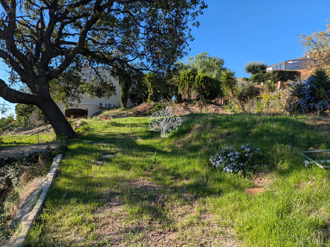 Terrain à OLLIOULES