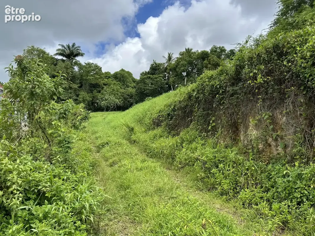 Terrain constructible 650 m² — Beau Soleil, Les Abymes — Grands Fonds, secteur calme - photo 2
