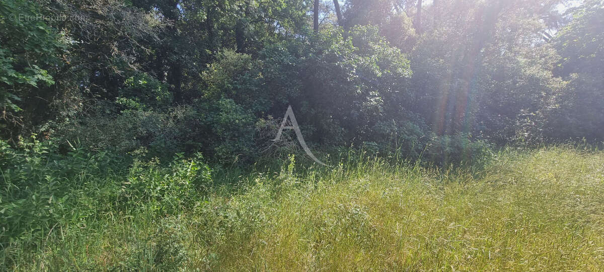 Terrain à SAINT-HILAIRE-DE-RIEZ