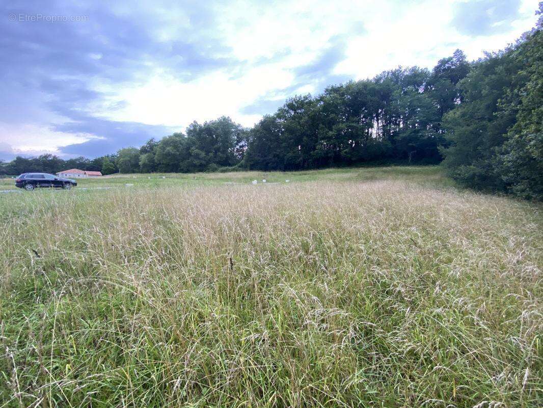 Terrain à CAUNEILLE