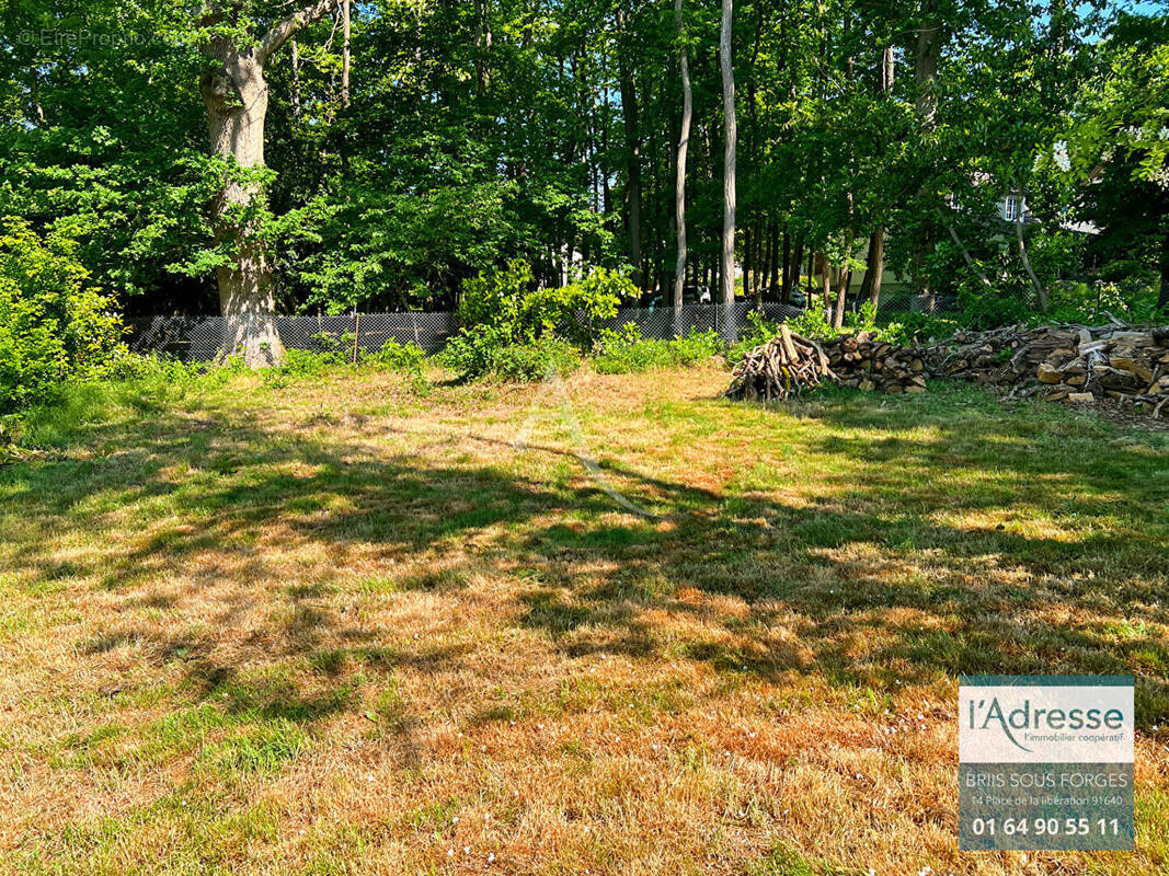 Terrain à BRIIS-SOUS-FORGES