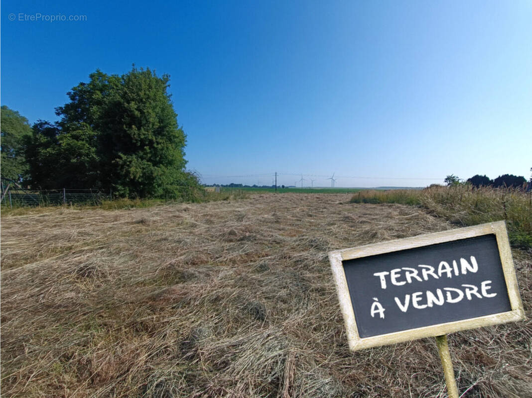 Terrain à DOMINOIS