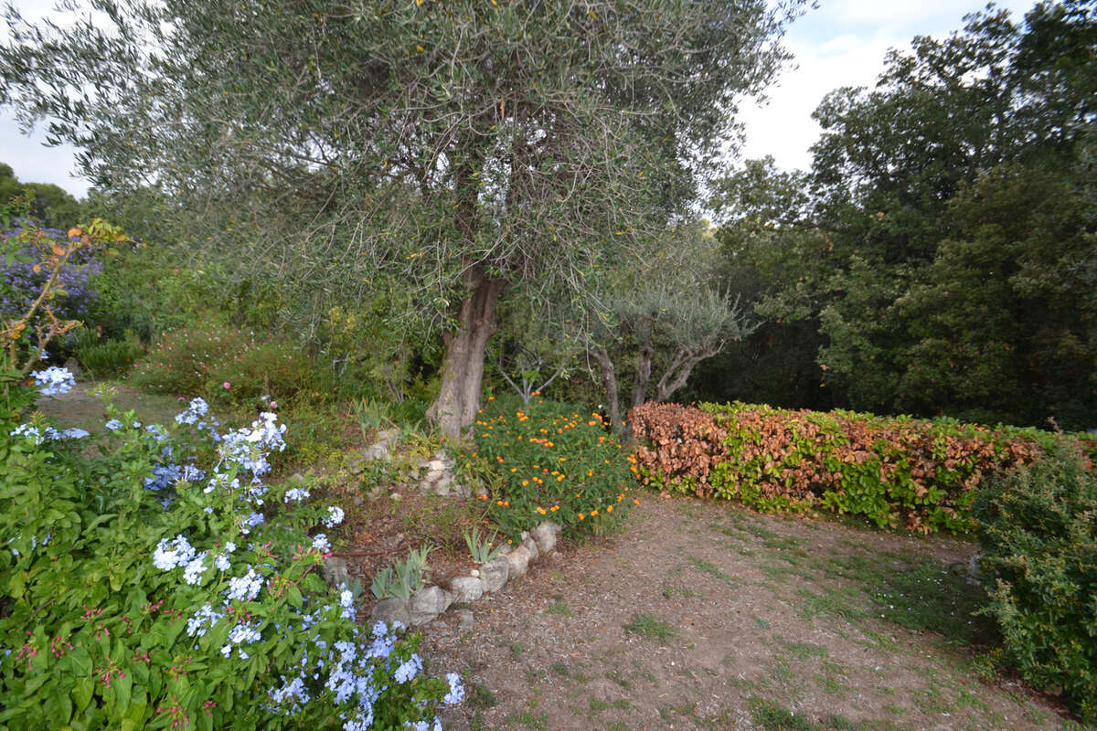 Biot residentiel belle villa avec piscine vente en viager occupe 1personne - photo 3