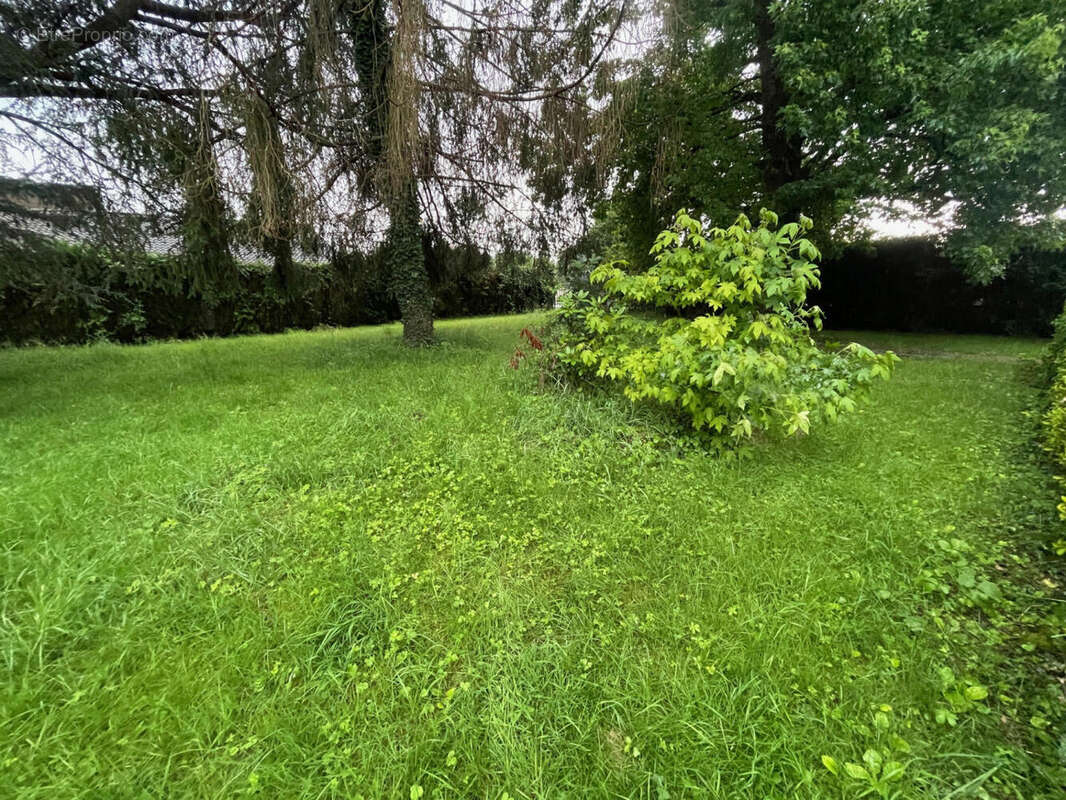 IMG_0398 - Maison à OLORON-SAINTE-MARIE