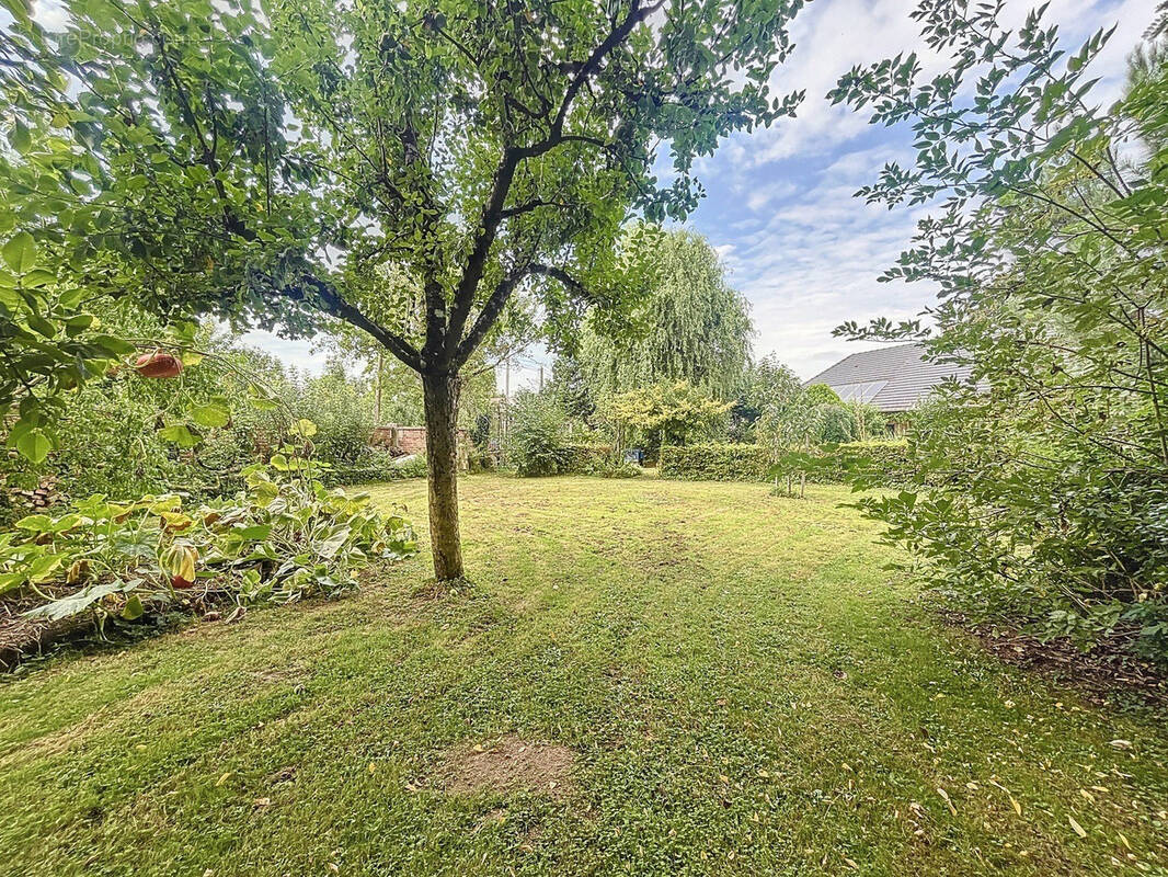 Terrain à LUSIGNY-SUR-BARSE