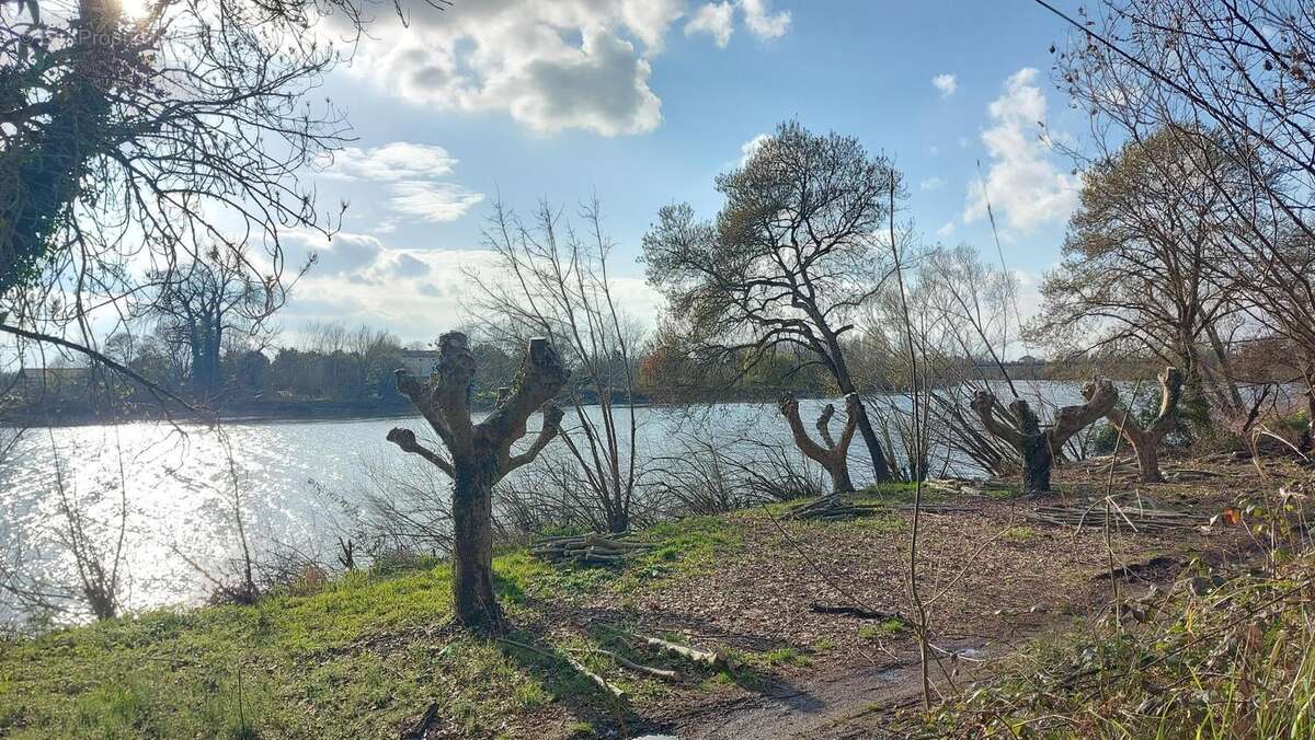 Photo 2 - Maison à SAINT-EMILION