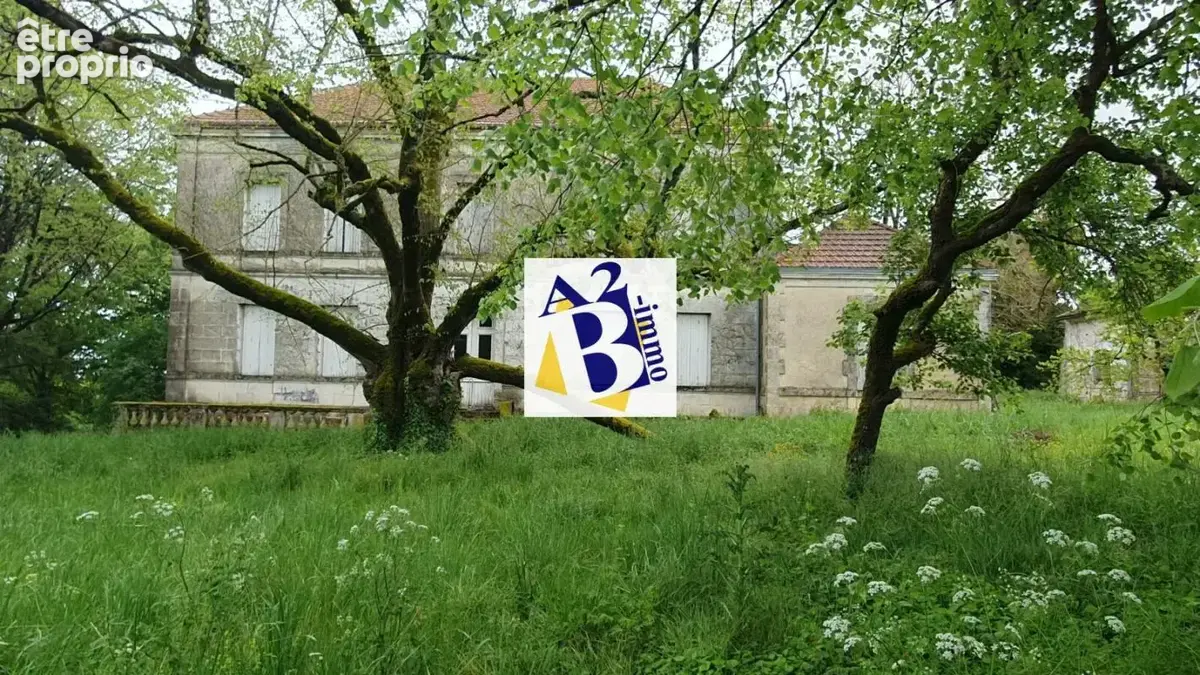 10 Min Cognac, Maison de Maitre à rénovée, dépendances - photo 33