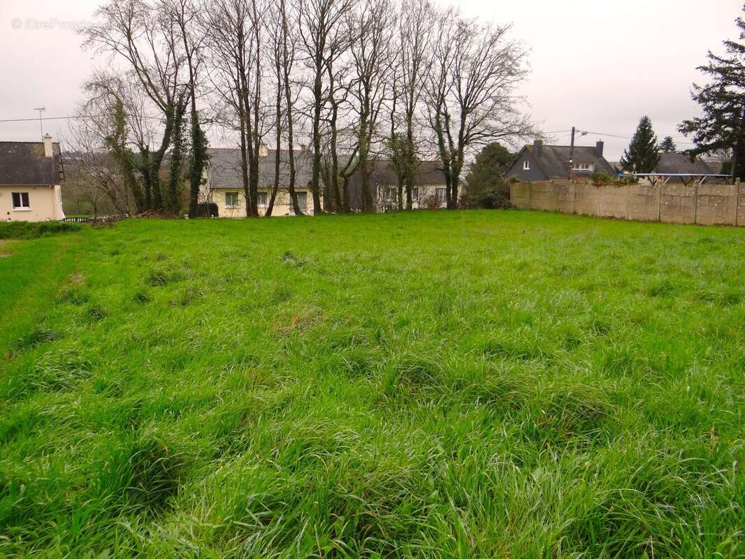 Terrain à MARTIGNE-FERCHAUD