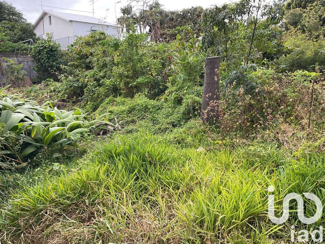 Photo 2 - Terrain à SAINT-JOSEPH