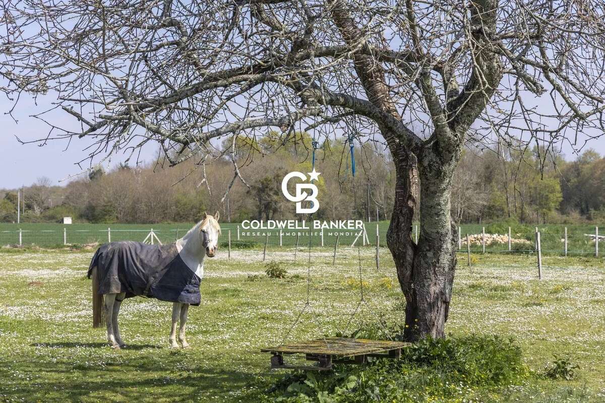 Maison à MONTPELLIER-DE-MEDILLAN