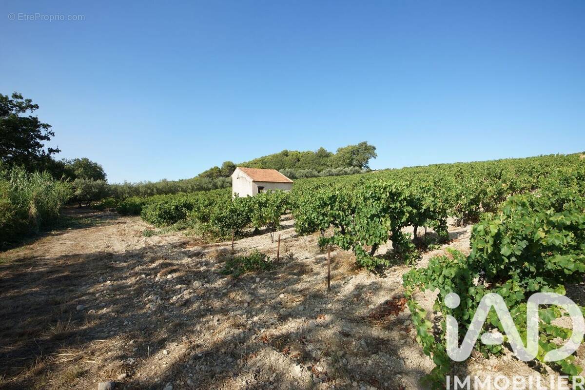 Photo 1 - Terrain à SAINT-MAURICE-SUR-EYGUES