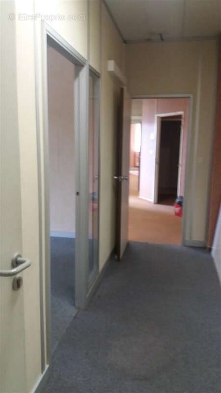 Commerce à TOULOUSE