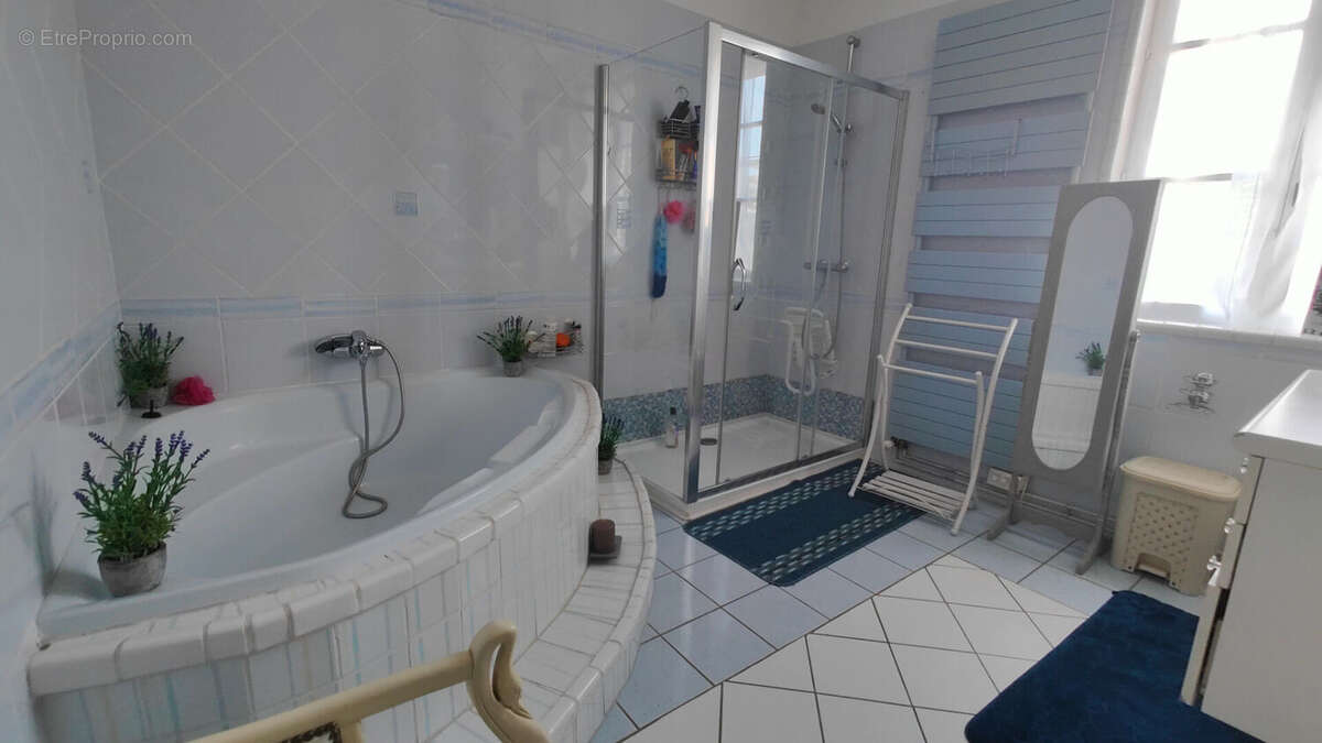 Propriété de charme de 427m² SAVINS - photo 10