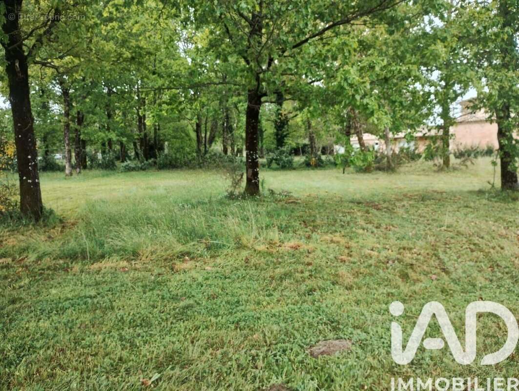 Photo 5 - Terrain à REIGNAC
