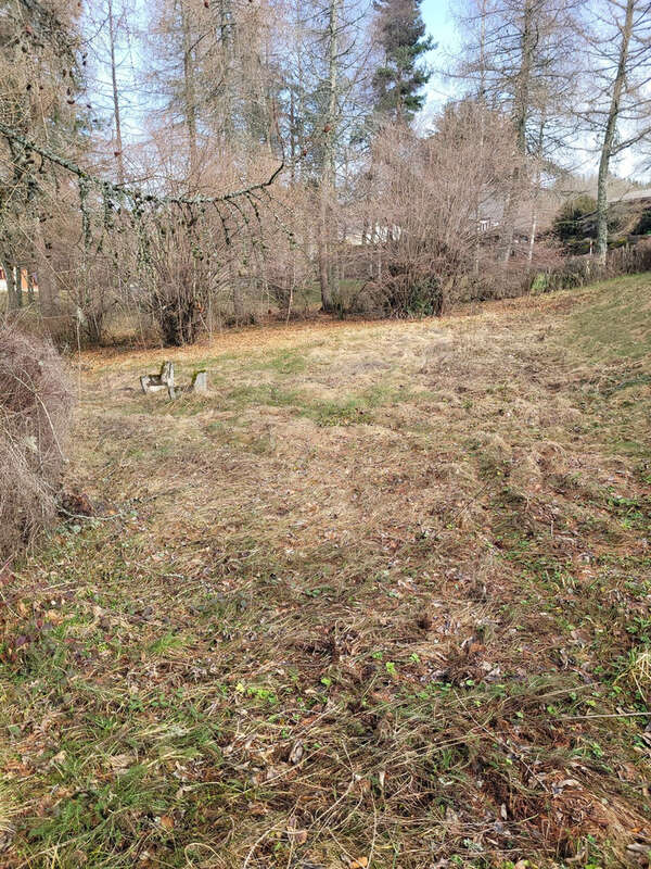 Terrain à LA TOUR-D'AUVERGNE