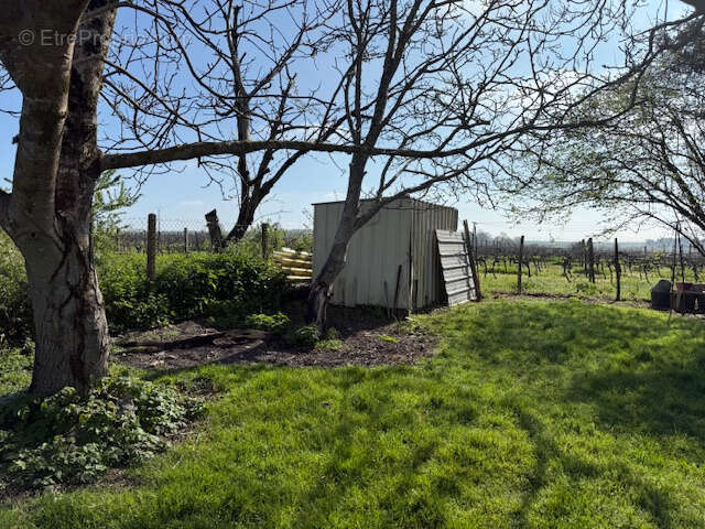 Maison à SAINT-THOMAS-DE-CONAC