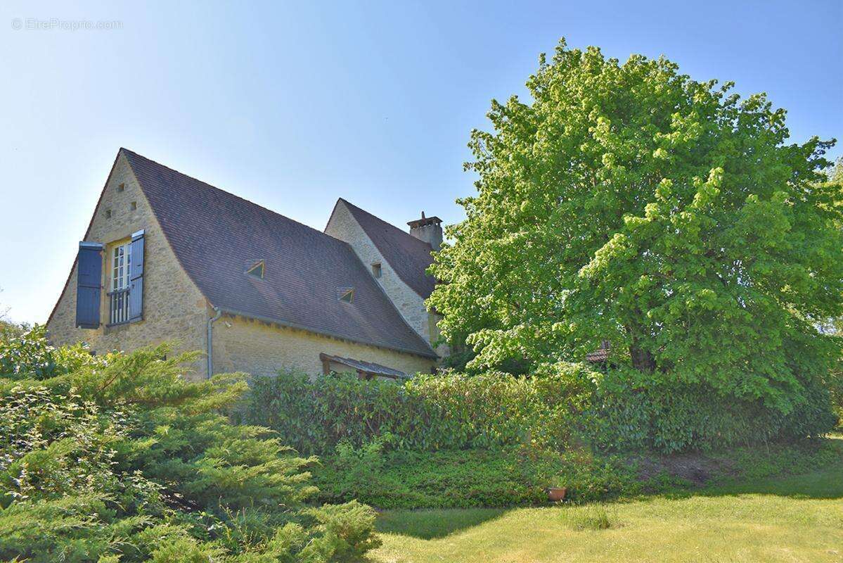 Maison à SAINT-AMAND-DE-COLY