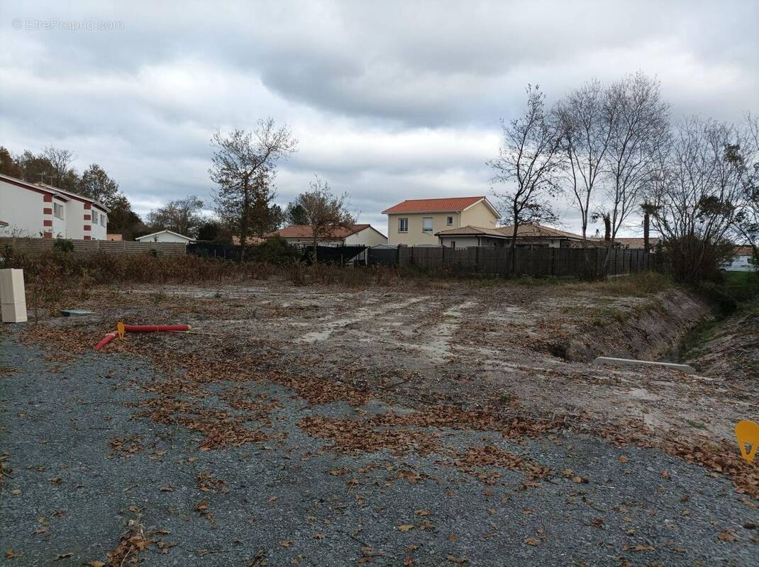 Terrain à BELIN-BELIET