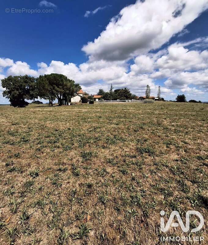 Maison 165 m² à Tarbes  - photo 4