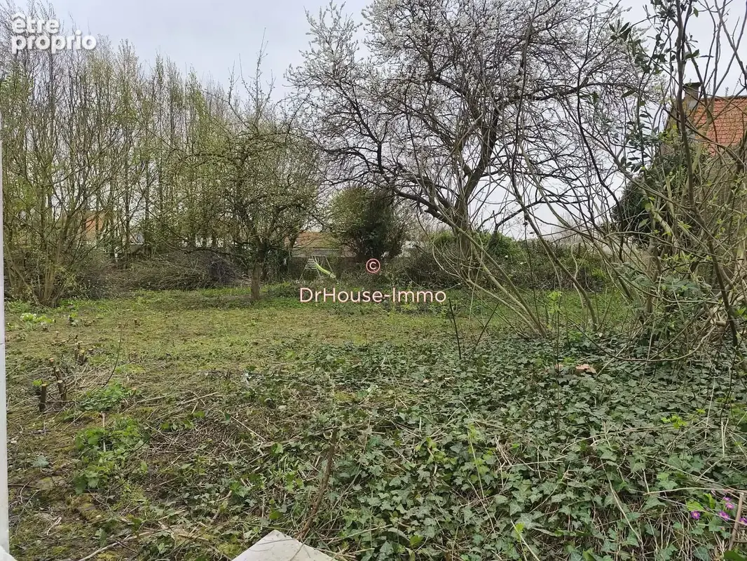 Terrain 501 m² à vendre à Lihons (80320) - photo 4