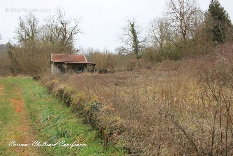 Appartement à DORNOT