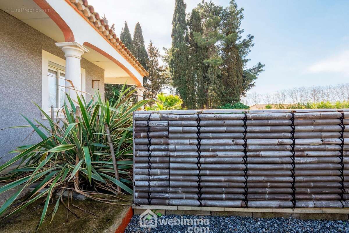 Revenons au début : jardin méditerranéen et palissade en bambou précèdent l'accès à la porte d'entrée - Maison à VILLENEUVE-LES-BEZIERS