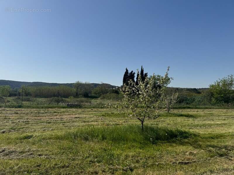 Terrain de loisirs de 2600m² à vendre à COLLIAS (30) - Environnement naturel privilégié - photo 7