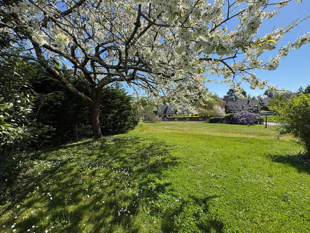 Terrain à SUCE-SUR-ERDRE