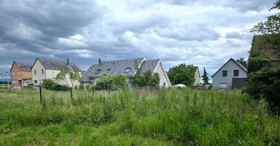 Terrain à JEBSHEIM