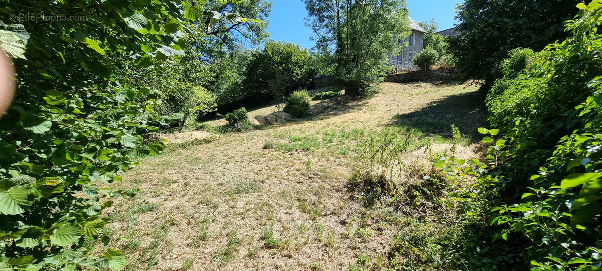 Nouveauté ! - photo 9