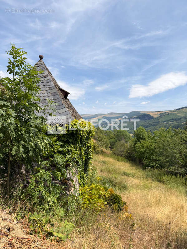 Ensemble immobilier - Thiezac - photo 5