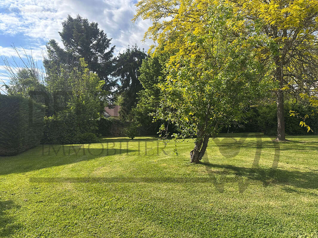 Terrain à CRECY-LA-CHAPELLE