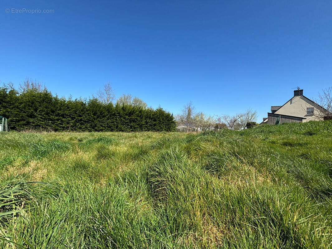 Terrain à SAINT-MOLF