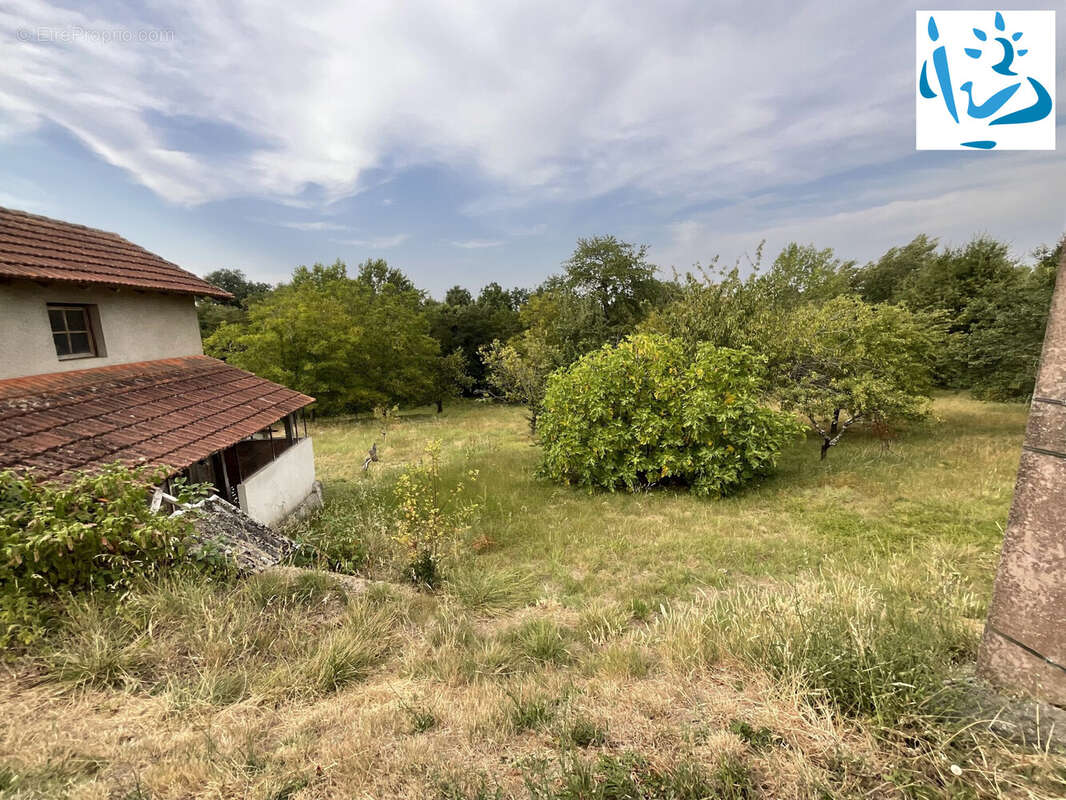 Terrain à SAINT-SARDOS