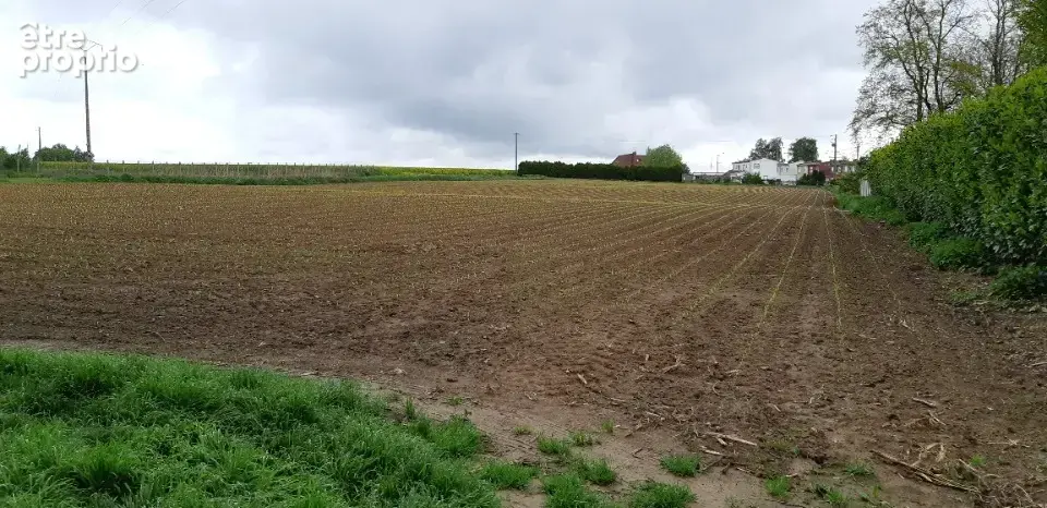 Terrain à SAINT-HILAIRE-LEZ-CAMBRAI