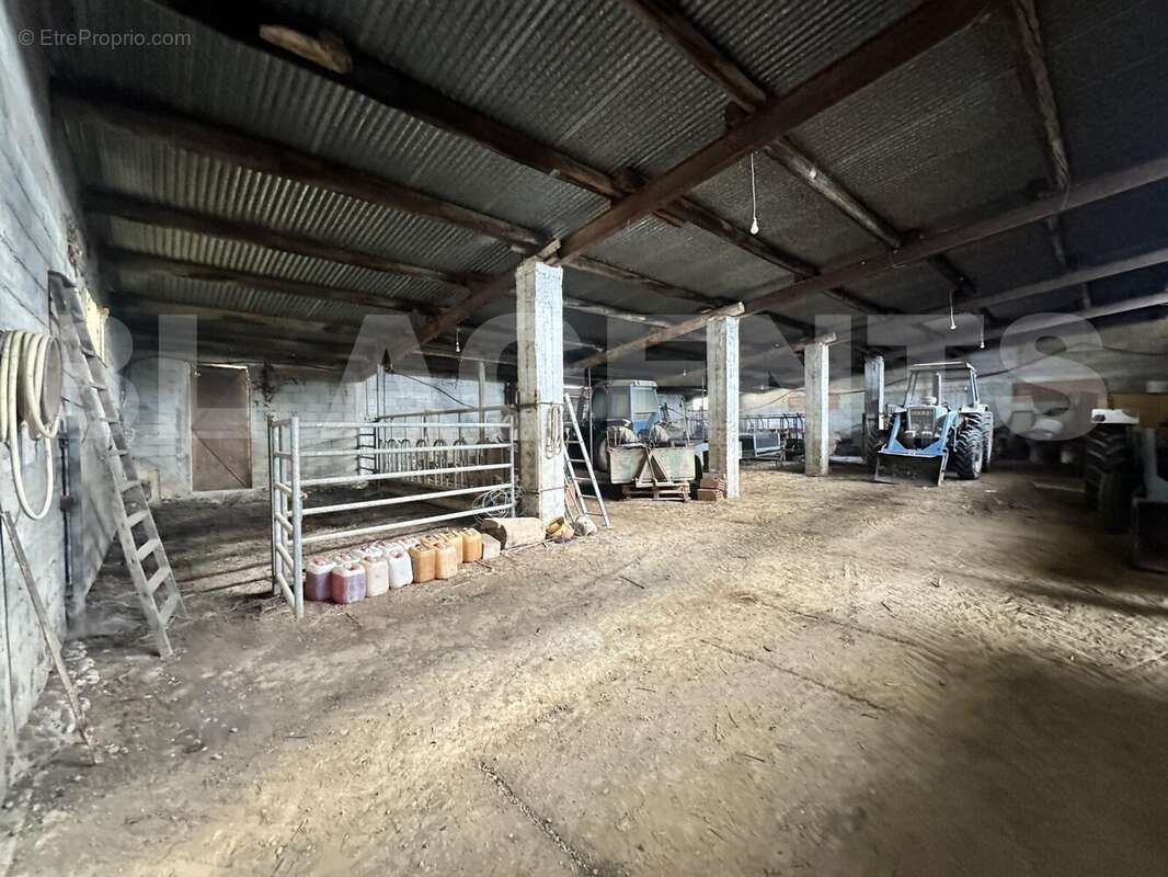 IMG_1357 - Maison à VILLEFLOURE