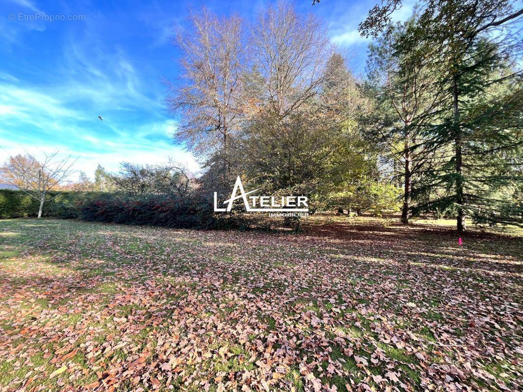 Terrain à SAUTRON