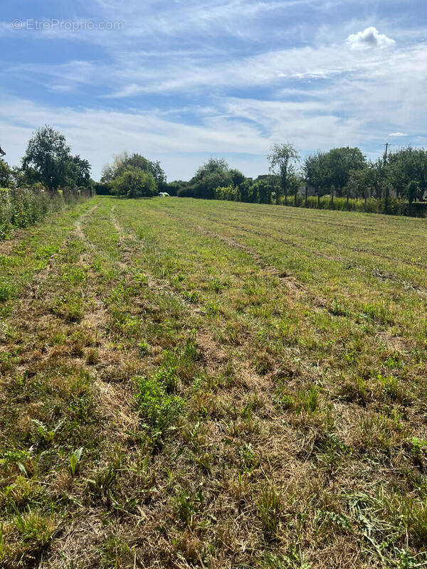 Terrain à MONTS-SUR-GUESNES
