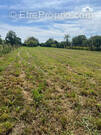 Terrain à MONTS-SUR-GUESNES