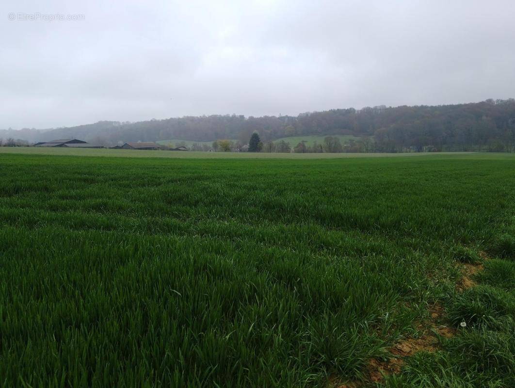 Terrain à SAINT-MARD-DE-RENO