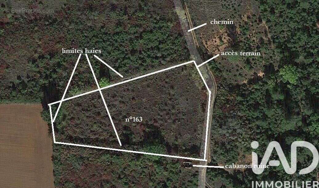 Photo 3 - Terrain à SAINT-JULIEN