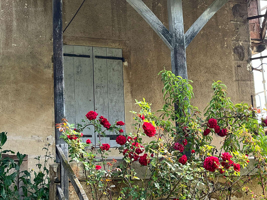 SALLES-LA-SOURCE: Maison de caractère  avec dépendances + jardin - photo 2