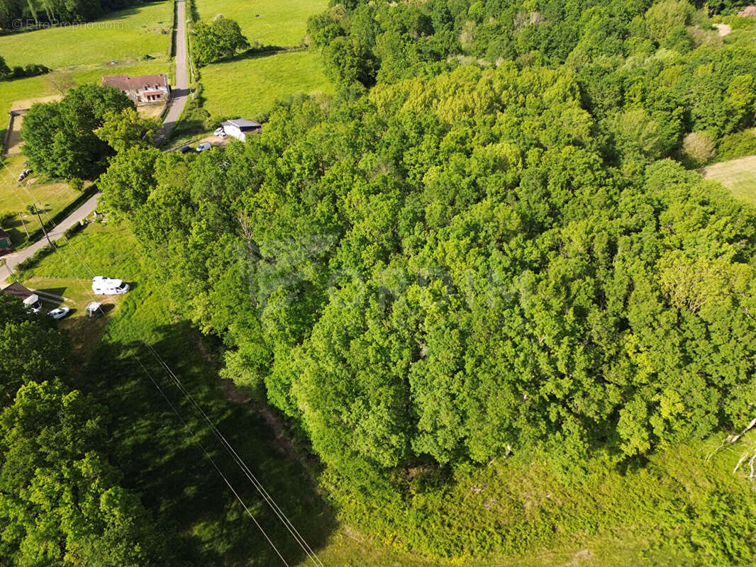 Terrain à LA CELLE-SUR-LOIRE