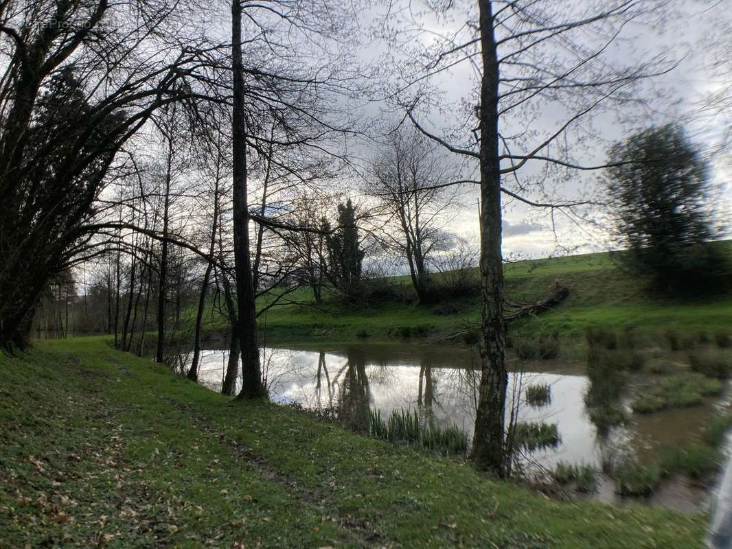 Terrain à FORGES-LA-FORET