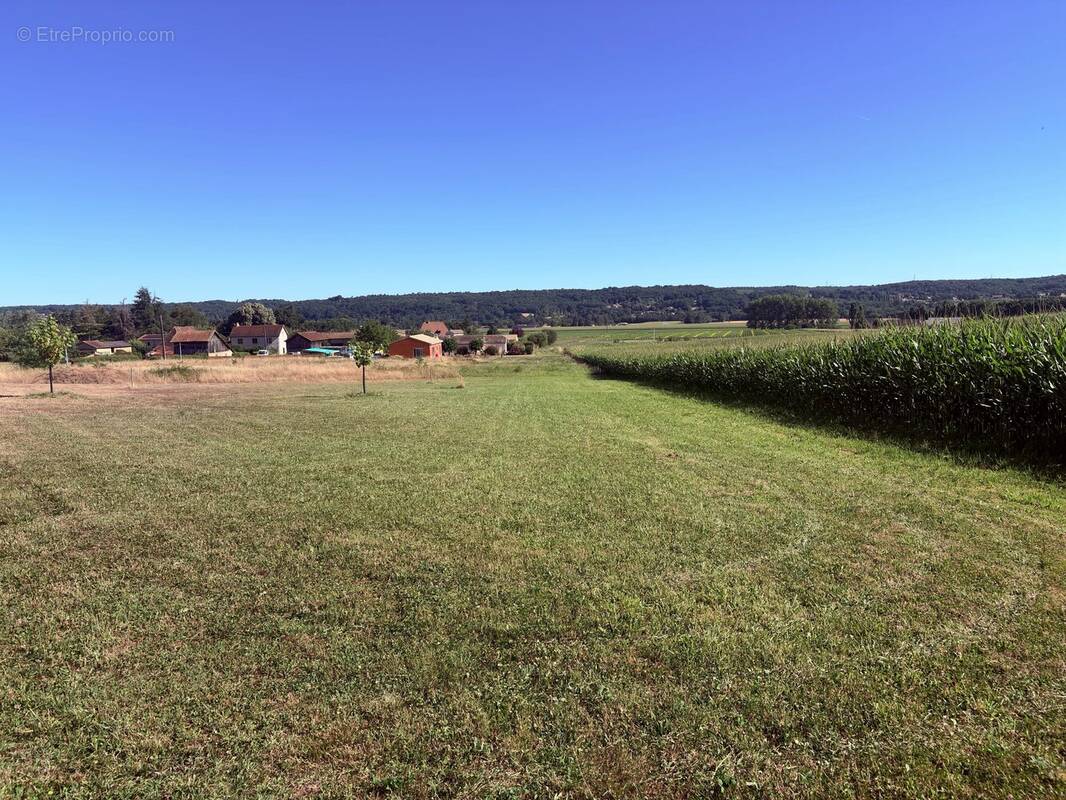 Terrain à SAINT-AGNE