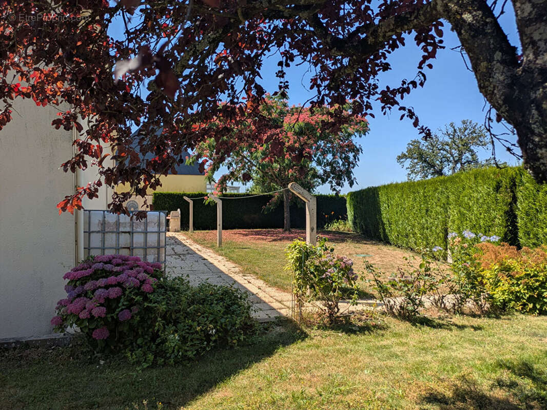 Maison à VITRE